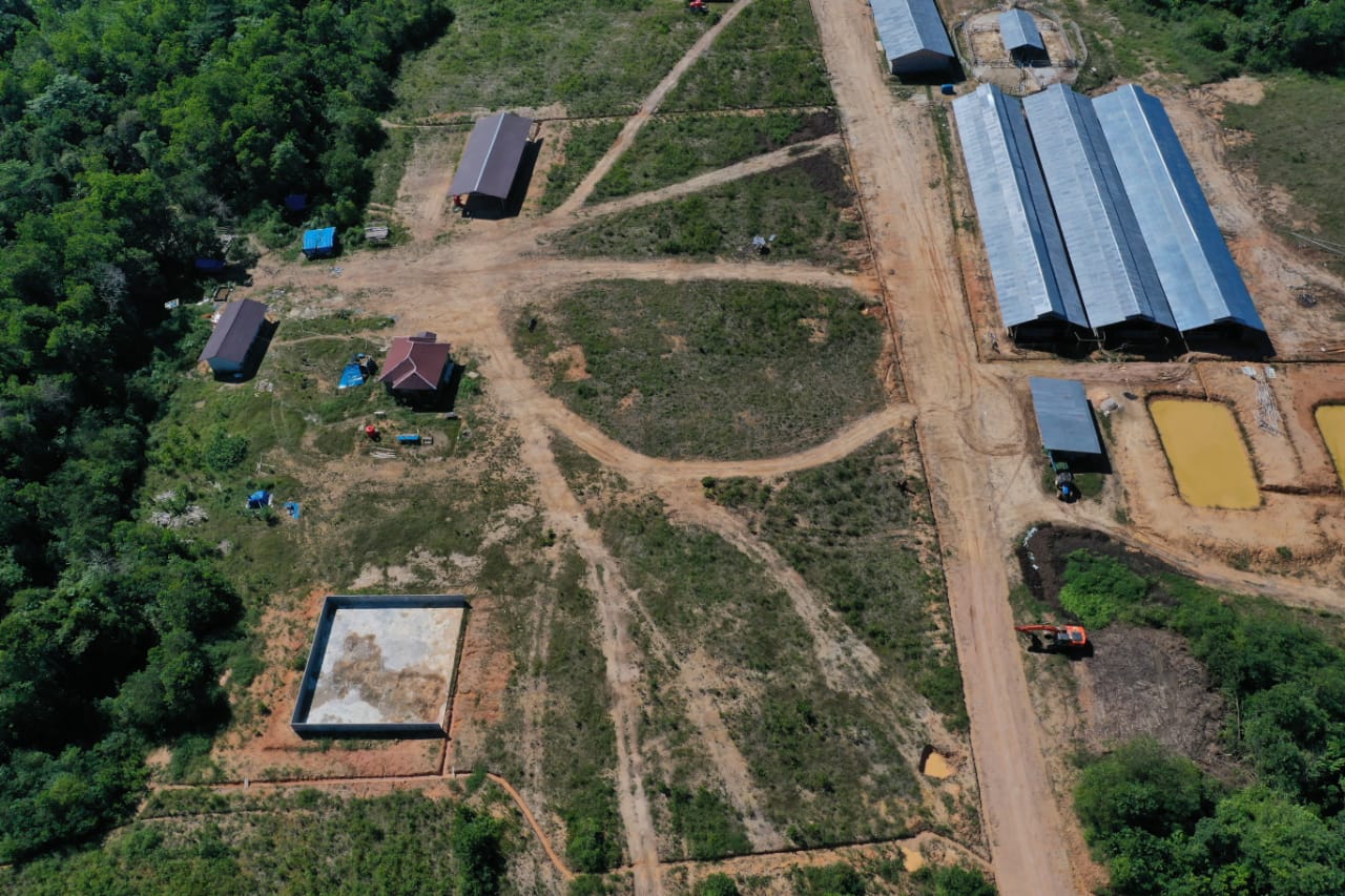 course image