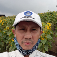 PURKAN