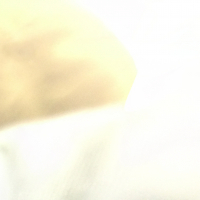 ADITIO CAHYADIEN RIFTA